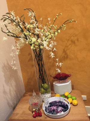 Lilac In Musical Corner